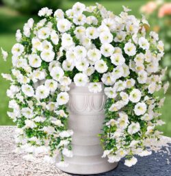 Artificial Faux Hanging Flowers Plants for Outdoor Decor,2 PCS Fake Silk Morning Glory with Eucalyptus UV Resistant Realistic Trailing Vines for Wall Home Porch Patio Balcony Yard Indoor Decor,White