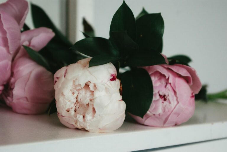 How to Style Your Home with Beautiful Floral Decor