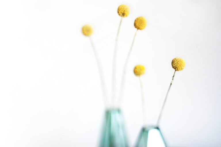 Bringing Nature Indoors: Benefits of Home Decor Flowers