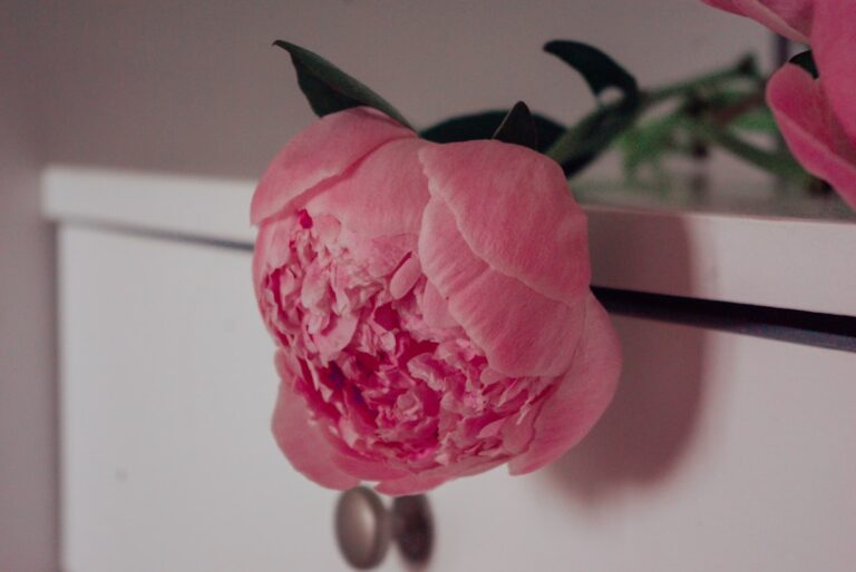 Choosing the Right Flowers to Match Your Interior Style