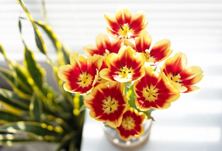 Why Artificial Flowers Are Perfect for Any Room Decor