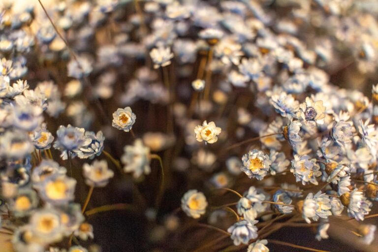 Enhance Your Living Space with Stunning Flower Arrangements