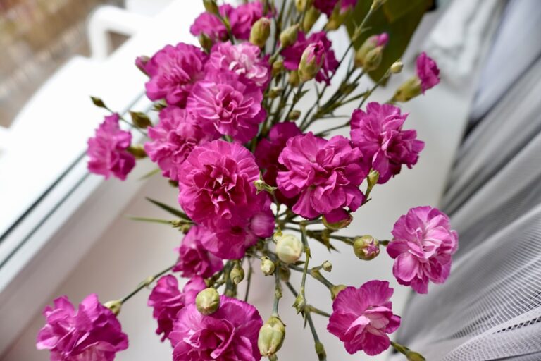 Tips for Maintaining Your Home Decor Flowers All Year Round